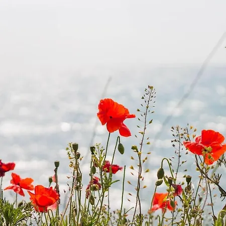 In Otseebad Διαμέρισμα