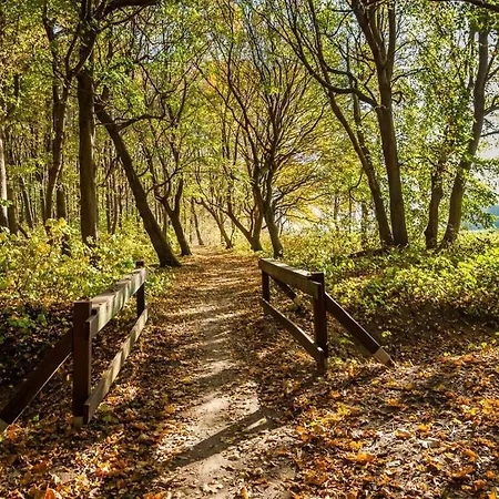 In Otseebad Apartment Wustrow (Fischland)